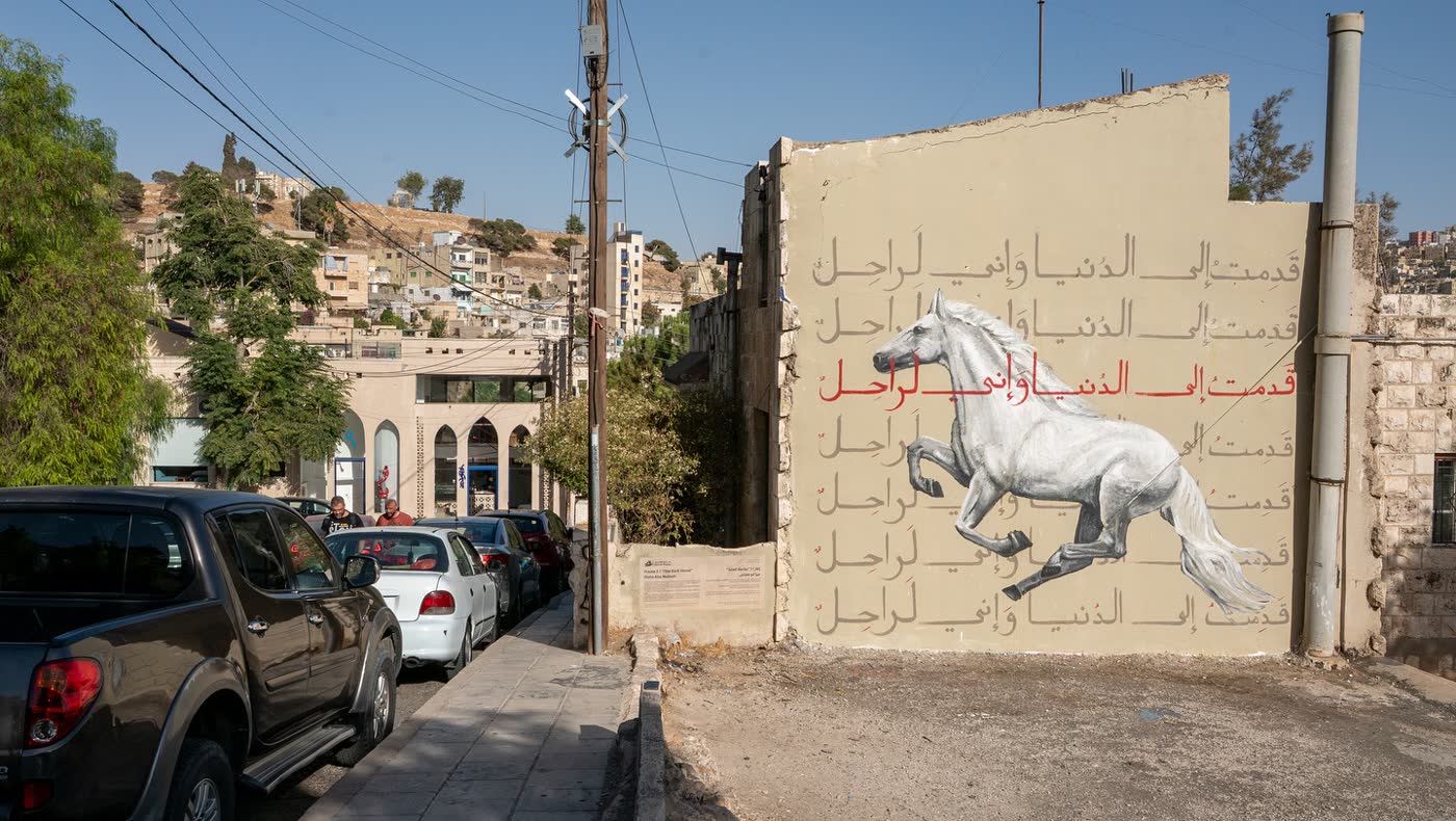 الجدار مكتملاً — مها أبو معيلش