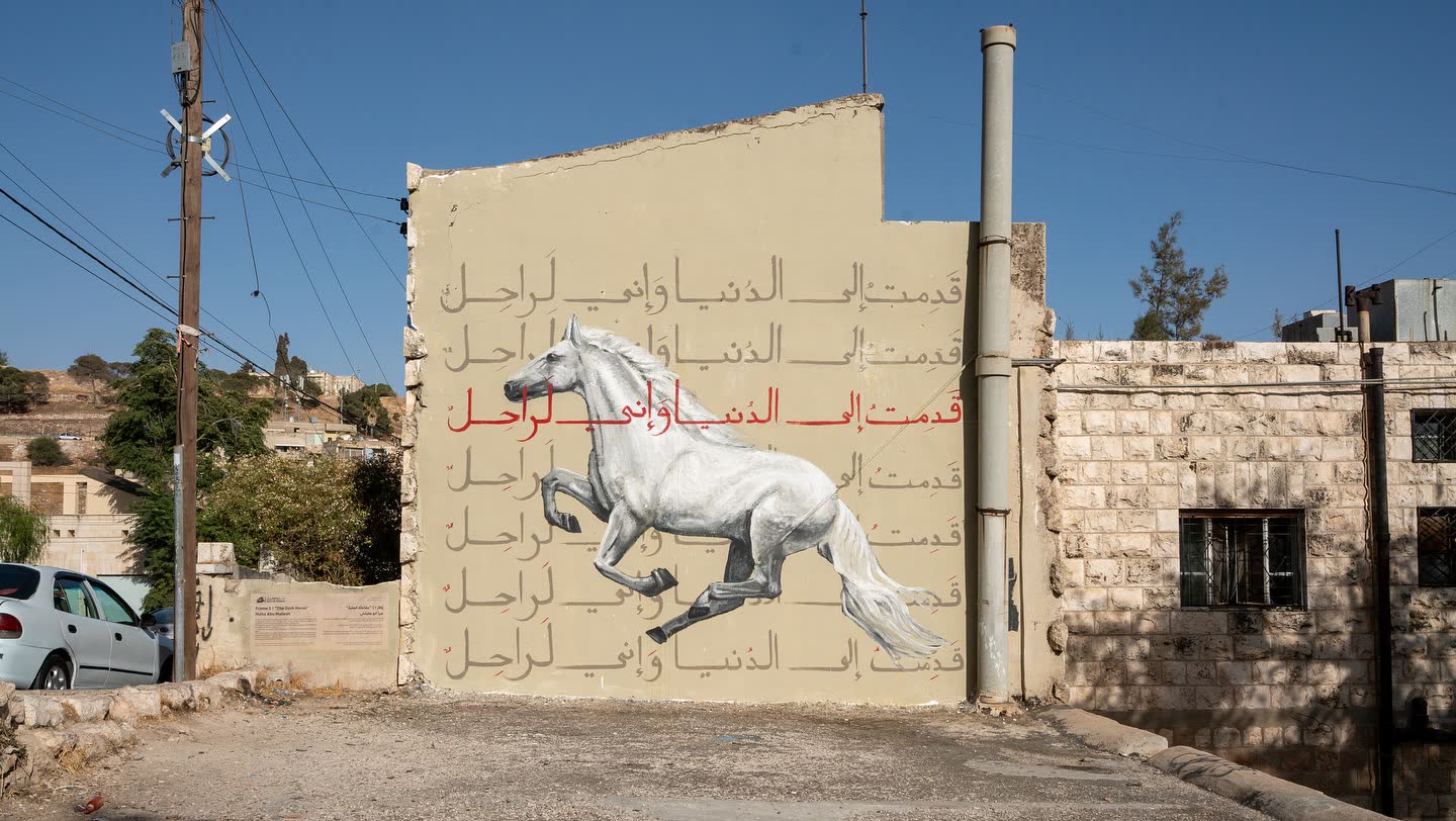 إطار ١ — مها أبو معيلش